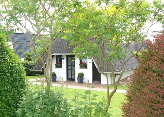 Sv2 Robbenplate 23 *